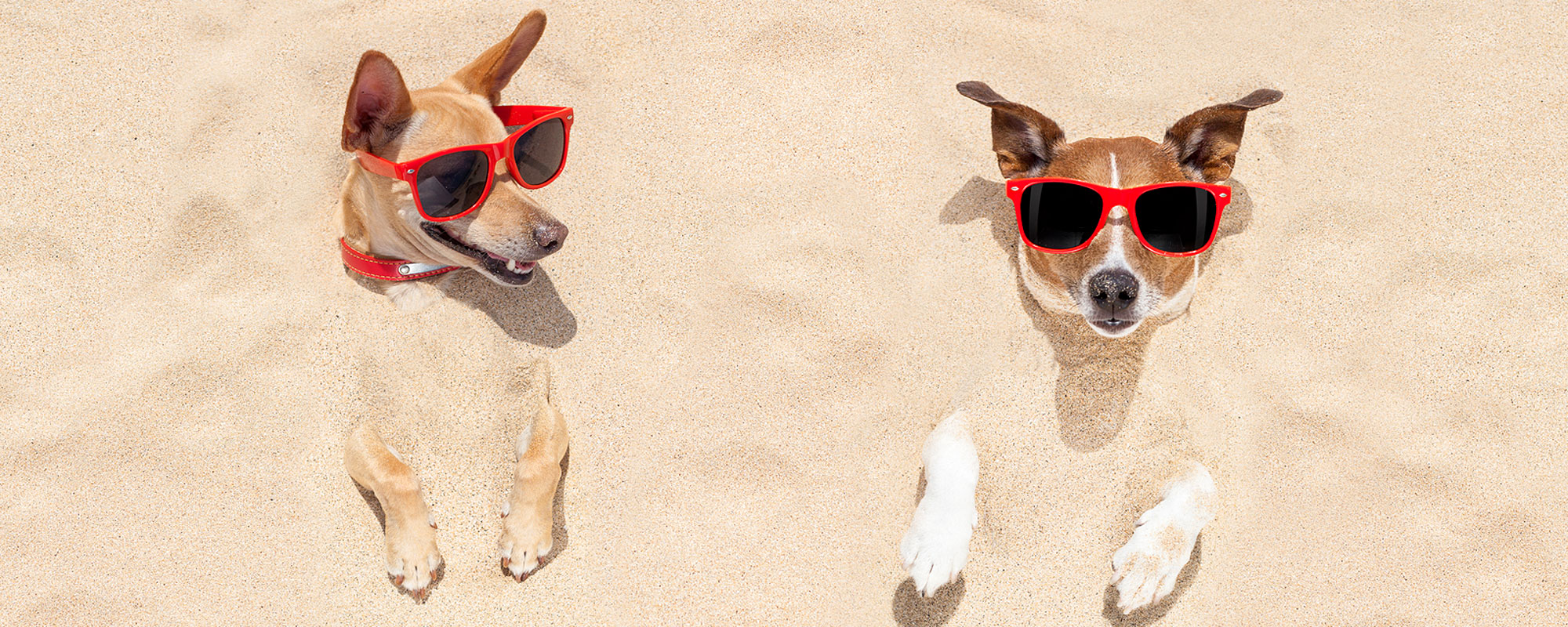 Leisure breaks in Guernsey.